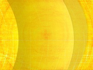 内控体系